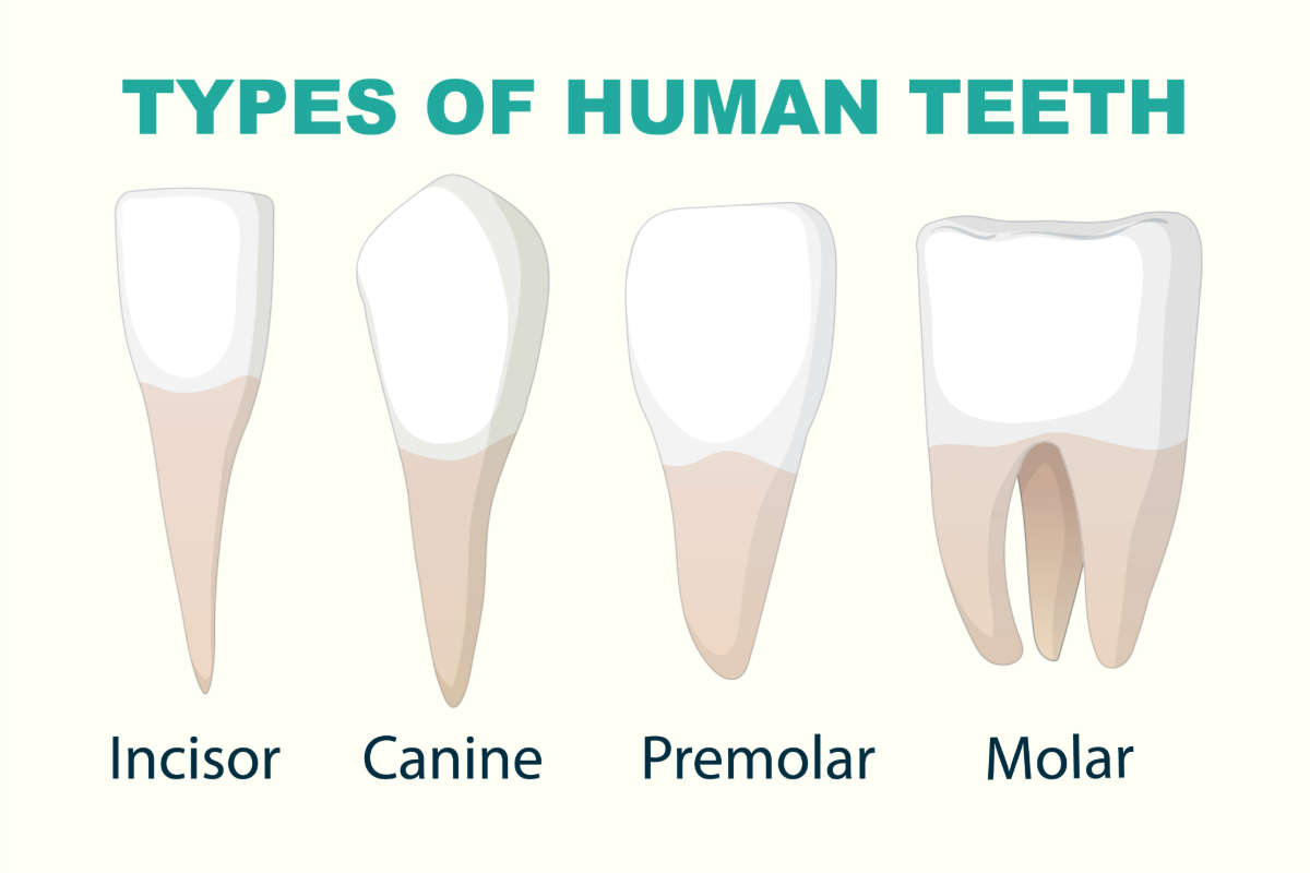 Adobe Express – file – 2025-11-19T114654.120